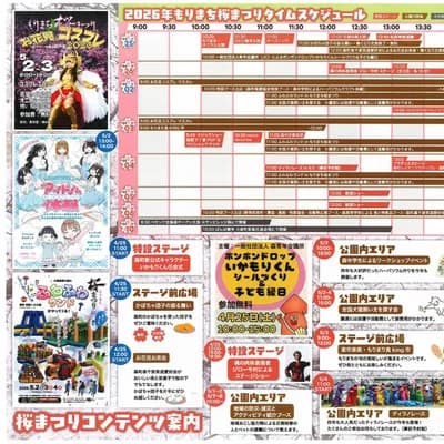 スケジュール