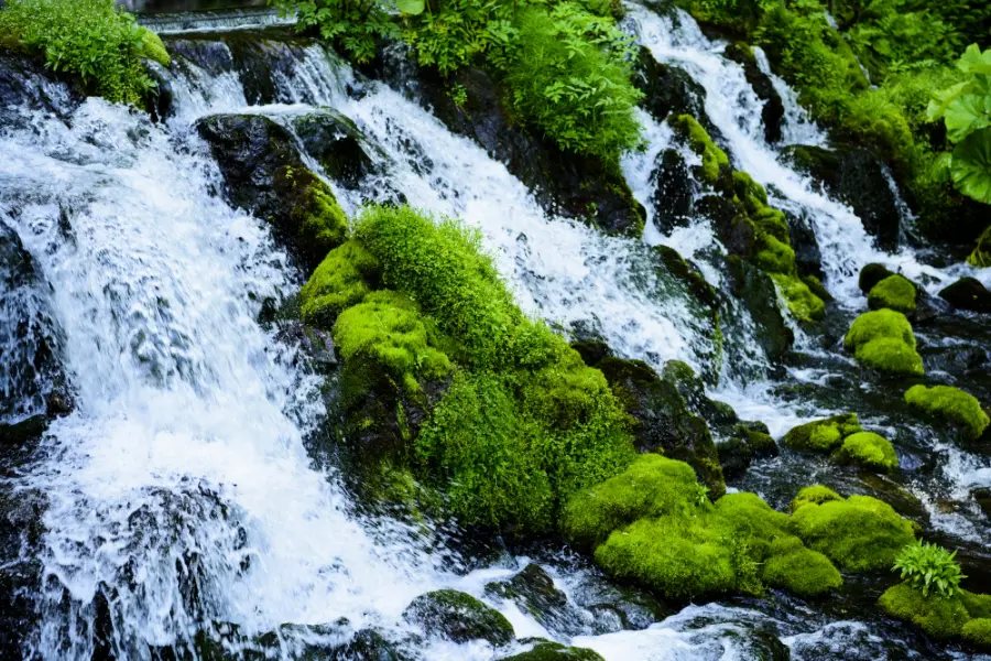 ふきだし公園 湧き水