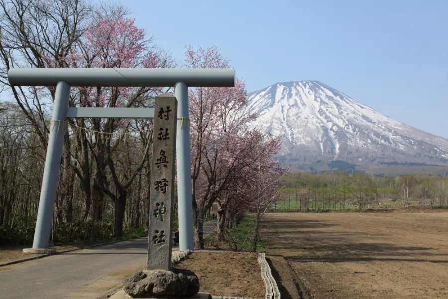 真狩神社 鳥居の写真