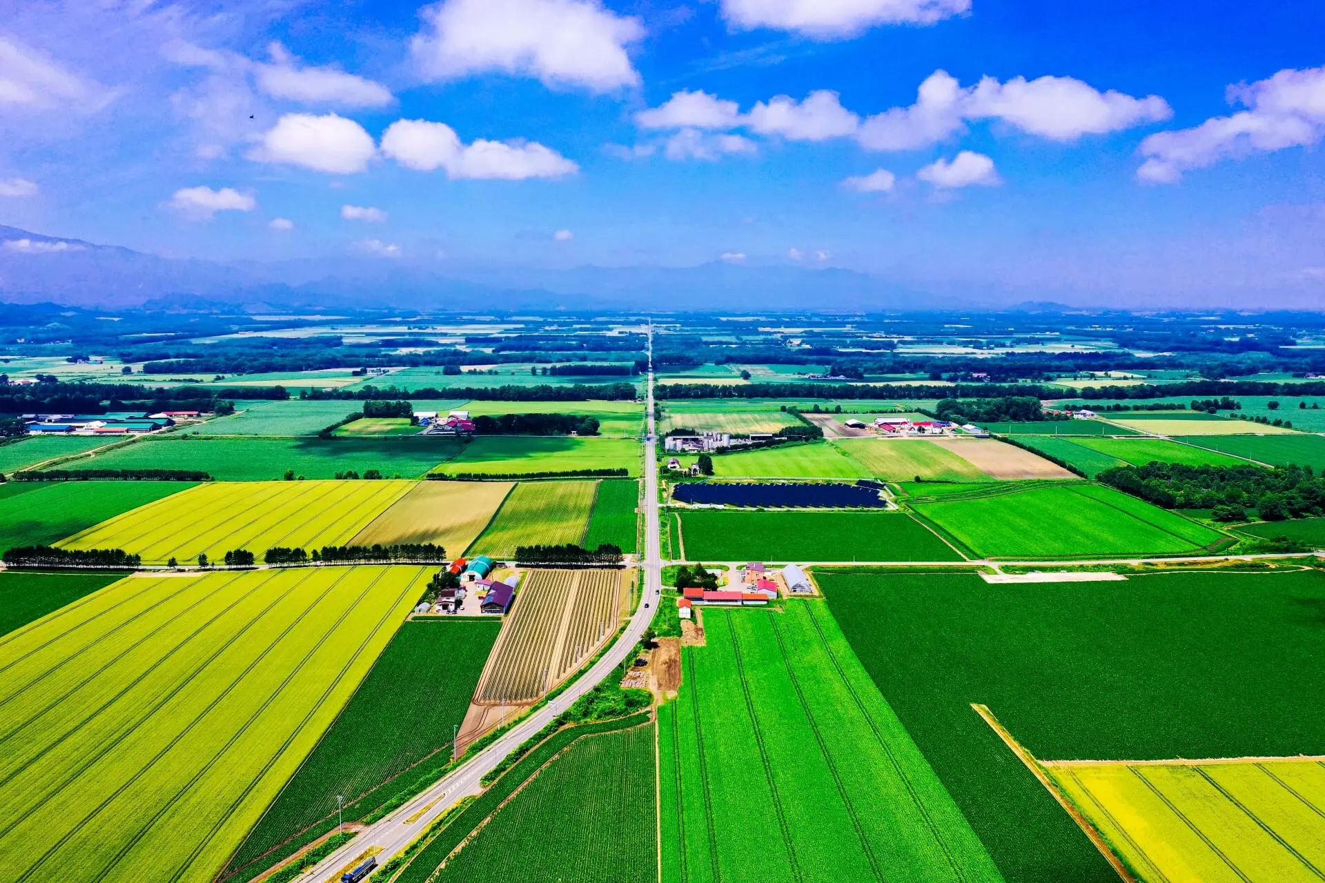 更別村(北海道河西郡)