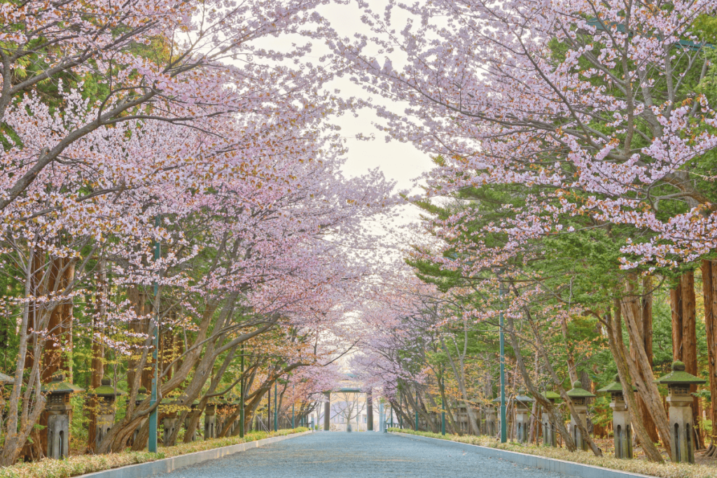 北海道神宮3