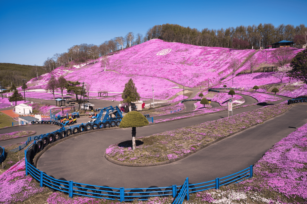 ひがしもこと芝桜公園7