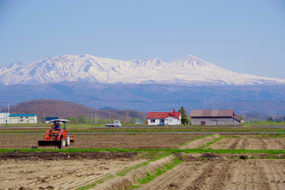 大雪山を望む当麻町の田園風景
